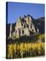 Aspens in Fall Colors with Mountains, Near Silver Jack, Uncompahgre National Forest, Colorado, USA-James Hager-Stretched Canvas