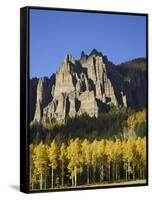 Aspens in Fall Colors with Mountains, Near Silver Jack, Uncompahgre National Forest, Colorado, USA-James Hager-Framed Stretched Canvas