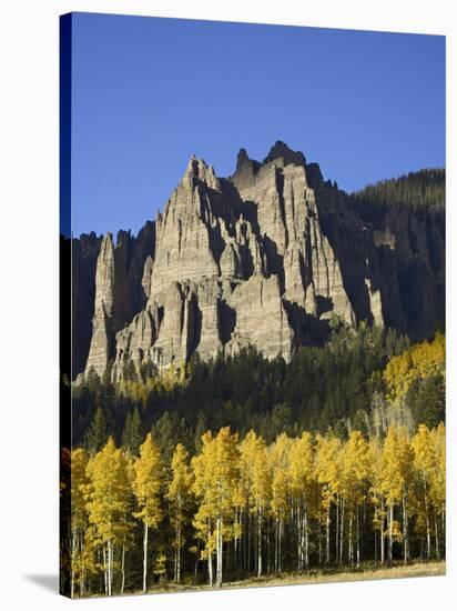 Aspens in Fall Colors with Mountains, Near Silver Jack, Uncompahgre National Forest, Colorado, USA-James Hager-Stretched Canvas