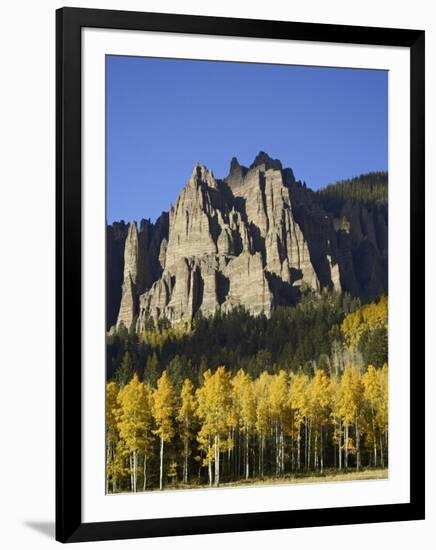 Aspens in Fall Colors with Mountains, Near Silver Jack, Uncompahgre National Forest, Colorado, USA-James Hager-Framed Photographic Print