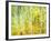 Aspens in Fall, Kebler Pass, Colorado, USA-Darrell Gulin-Framed Photographic Print