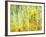 Aspens in Fall, Kebler Pass, Colorado, USA-Darrell Gulin-Framed Photographic Print