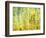 Aspens in Fall, Kebler Pass, Colorado, USA-Darrell Gulin-Framed Photographic Print