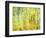 Aspens in Fall, Kebler Pass, Colorado, USA-Darrell Gulin-Framed Photographic Print