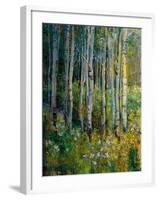 Aspens in Spring-Patrick-Framed Giclee Print