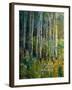 Aspens in Spring-Patrick-Framed Giclee Print