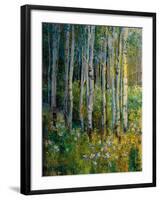 Aspens in Spring-Patrick-Framed Giclee Print