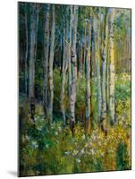 Aspens in Spring-Patrick-Mounted Giclee Print