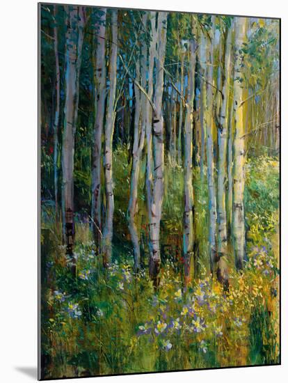 Aspens in Spring-Patrick-Mounted Giclee Print