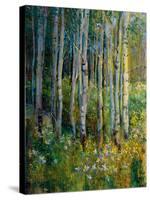 Aspens in Spring-Patrick-Stretched Canvas