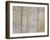 Aspens in the Fall in Fog, Grand Mesa National Forest, Colorado-James Hager-Framed Photographic Print