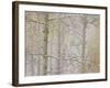 Aspens in the Fall in Fog, Grand Mesa National Forest, Colorado-James Hager-Framed Photographic Print