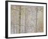 Aspens in the Fall in Fog, Grand Mesa National Forest, Colorado-James Hager-Framed Photographic Print