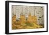 Aspens in White River National Forest Colorado, USA-Charles Gurche-Framed Photographic Print