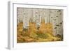 Aspens in White River National Forest Colorado, USA-Charles Gurche-Framed Photographic Print