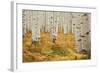 Aspens in White River National Forest Colorado, USA-Charles Gurche-Framed Photographic Print