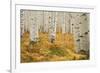 Aspens in White River National Forest Colorado, USA-Charles Gurche-Framed Photographic Print