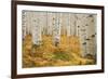 Aspens in White River National Forest Colorado, USA-Charles Gurche-Framed Photographic Print