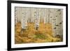 Aspens in White River National Forest Colorado, USA-Charles Gurche-Framed Photographic Print