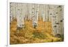 Aspens in White River National Forest Colorado, USA-Charles Gurche-Framed Photographic Print