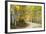 Aspens Lining Kebler Pass Road-Darrell Gulin-Framed Photographic Print