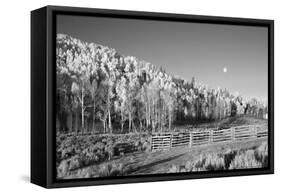 Aspens Moon-Linden Sally-Framed Stretched Canvas