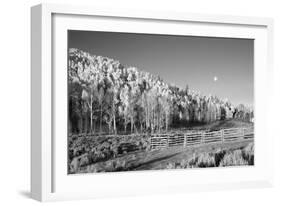 Aspens Moon-Linden Sally-Framed Art Print