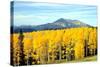 Aspens of Autumn I-Douglas Taylor-Stretched Canvas