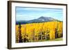 Aspens of Autumn I-Douglas Taylor-Framed Photographic Print