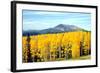 Aspens of Autumn I-Douglas Taylor-Framed Photographic Print