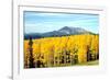 Aspens of Autumn I-Douglas Taylor-Framed Photographic Print