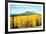 Aspens of Autumn I-Douglas Taylor-Framed Photographic Print