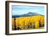 Aspens of Autumn I-Douglas Taylor-Framed Photographic Print