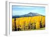 Aspens of Autumn I-Douglas Taylor-Framed Photographic Print