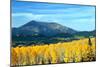 Aspens of Autumn II-Douglas Taylor-Mounted Photographic Print