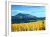 Aspens of Autumn II-Douglas Taylor-Framed Photographic Print