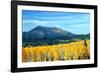 Aspens of Autumn II-Douglas Taylor-Framed Photographic Print