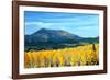 Aspens of Autumn II-Douglas Taylor-Framed Photographic Print