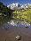 Aspens reflecting in lake under Maroon Bells, Colorado-Joseph Sohm-Stretched Canvas