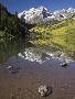 Aspens reflecting in lake under Maroon Bells, Colorado-Joseph Sohm-Stretched Canvas