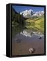 Aspens reflecting in lake under Maroon Bells, Colorado-Joseph Sohm-Framed Stretched Canvas