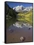 Aspens reflecting in lake under Maroon Bells, Colorado-Joseph Sohm-Framed Stretched Canvas