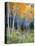 Aspens, Sawtooth National Recreation Area, Idaho, USA-Jamie & Judy Wild-Stretched Canvas