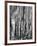 Aspens, Utah, 1972-Brett Weston-Framed Photographic Print