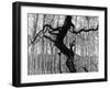 Aspens, Utah, 1973-Brett Weston-Framed Premium Photographic Print