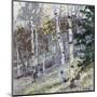 Aspens-Robert Moore-Mounted Art Print