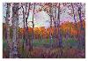 Aspens-Erin Hanson-Framed Art Print