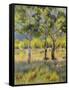 Aspens-Rusty Frentner-Framed Stretched Canvas