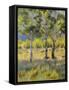 Aspens-Rusty Frentner-Framed Stretched Canvas