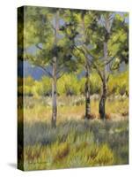 Aspens-Rusty Frentner-Stretched Canvas